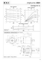 BV Series  VANE PUMPS-9