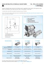 Double stage gear pumps with special integrated valves-4