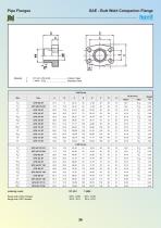 PIPE FLANGES  PORT FLANGES-30