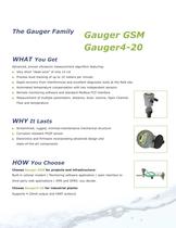 Gauger Line Brochure-4
