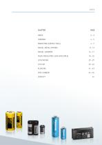INDUSTRIAL BATTERIES FOR PROFESSIONALS-3