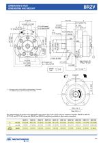 BRZ Orbital Motors-5