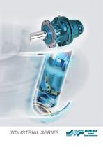 Industrial Planetary Gearboxes-1