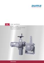 Lever gearboxes GF 50.3 - 250.3-1