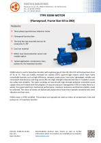 EX3M Flameproof Threephase Motor - 1