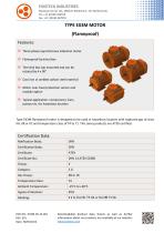 FLAMEPROOF LOW VOLTAGE MOTORS EX3M - 1