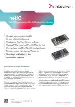 netIC-1