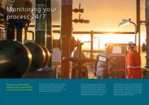 2060 TI Process Analyzer – Maximum flexibility for the toughest challenges in process analysis-2