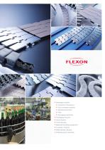 iwis Company flyer-7