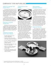 Composite 30° Seat Rupture Disc - 2