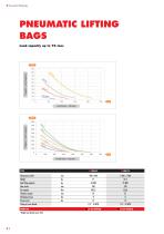 LIFTING BAGS-8