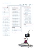 IN-FLOW Industrial Mass Flow Meters/Controllers for Gases-6