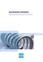 BAUMANN SPRINGS-1
