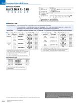 BLH Series Brushless DC Motors-4