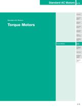 Motors Torque-1