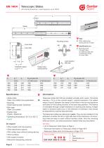 Telescopic Slides - 10