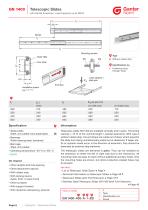 Telescopic Slides - 8