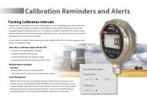XP3i Digital Pressure Gauge Brochure-11