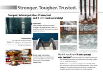 XP3i Digital Pressure Gauge Brochure-5