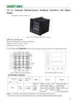 ELECTRICAL Transducer CE-D Series-11