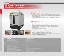 Enclosed portable fiber laser marking machine ST-FL20PF/30PF/50PF