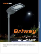 LED Street Light_Briway-print.pdf - 1