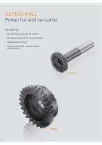 GearSkiving Brochure-3