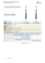 Rasant Steel Brochure-4