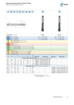 Rasant Steel Brochure-5
