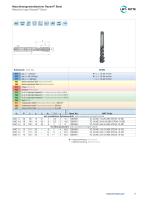 Rasant Steel Brochure-7