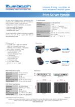 Print Server-1