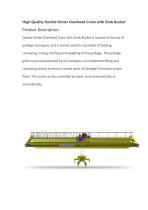 High Quality Double Girder Overhead Crane with Grab Bucket-1