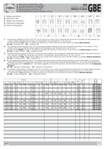 GBE-13