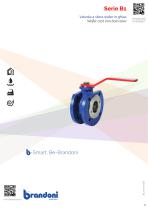 Series B1_2018-1