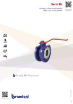SERIES B1_2024-1