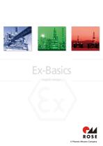 Ex Basics-1