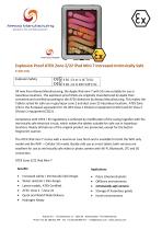 Product flyer explosion proof iPad Mini 7 (Ex Zone 2)-1