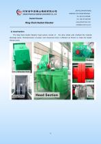 RING CHAIN BUCKET ELEVATOR - 9