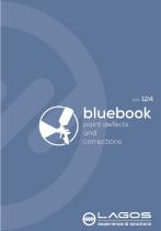 Lagos Bluebook - Paint defects and corrections-1