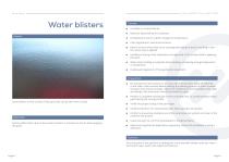 Lagos Bluebook - Paint defects and corrections-3