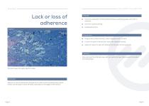 Lagos Bluebook - Paint defects and corrections-4