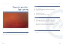 Lagos Bluebook - Paint defects and corrections-5