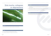 Lagos Bluebook - Paint defects and corrections-9