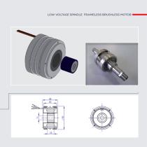 Custom Motors - 11