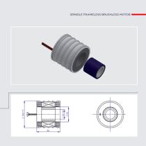 Custom Motors - 13