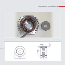 Custom Motors - 17