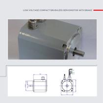 Custom Motors - 29