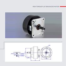 Custom Motors - 31