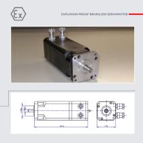 Custom Motors - 5