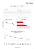 Carbon battery - 2